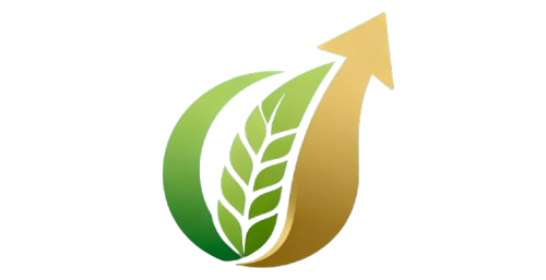 mapara traders logo removebg preview